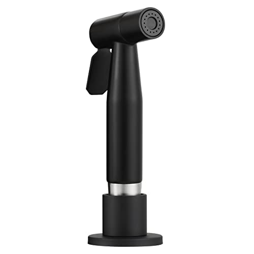 Version 1.0.0 Version 1.0.0