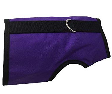 Kitty Holster Cat Harness – Secure Cat Harness for Walking, Soft Cotton Cat Accessories, Comfortable Fit, Strong Hook-and-Loop Closure, Made in USA – Purple, M/L