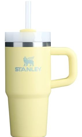 Stanley Quencher H2.0 Tumbler with Handle and Straw 14 oz | Flowstate 3-Position Lid | Cup Holder Compatible for Travel | Insulated Stainless Steel Cup | BPA-Free | Pomelo