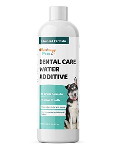 Wellnergy Pets Dental Care Water Additive for Dogs & Cats – No Brush Formula, Oral Hygiene & Fresh Breath, Reduce Plaque and Tartar. 16 FL OZ