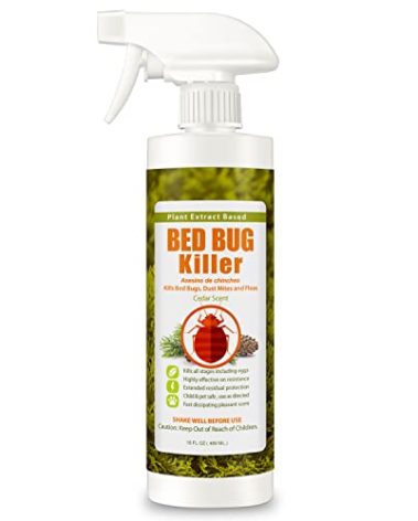EcoRaider Bed Bug Killer Spray 16 Oz, Green + Non-toxic, 100% Kill + Extended Protection