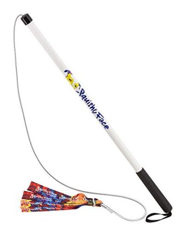 Squishy Face Studio Flirt Pole V2 with Lure - Durable Dog Toy for Fun Obedience Training & Exercise, Rainbow Tie Dye, Regular - 36 inch
