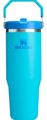 Stanley IceFlow 2.0 Flip Straw Tumbler with Handle 30 oz | Twist On Lid and Flip Up Straw | Leak Resistant Water Bottle | Insulated Stainless Steel | BPA-Free | Splash