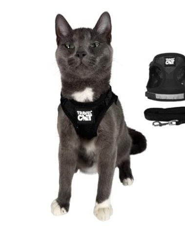Travel Cat Harness and Leash Set - Adjustable Fit Mesh Cat Harness and Reflective Strap - Comfort Walking Vest for Kitten for Outdoor Walking, Hiking (Large, Black)