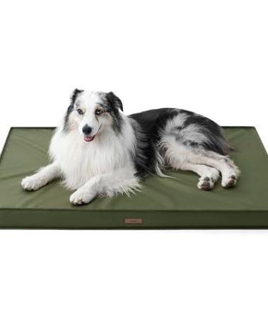 LE SURE Outdoor Waterproof Dog Beds Large Sized Dog, Orthopedic Egg Crate Foam Pet Bed with Oxford Fabric Surface and Removable Washable Cover, Pet Mat 36''x27'', Green