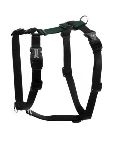 Blue-9 Buckle-Neck Balance Harness, Fully Customizable Fit No-Pull Harness, Ideal for Dog Training and Obedience, Made in The USA, Hunter Green, Small