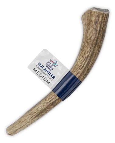 Onward Hound Elk Antlers for Dogs, 6"+ Medium 1-Pack, Grade A Long Lasting Chew for Aggressive Chewers, Premium USA Naturally Shed Antler - Healthy, No Odor, Durable Dog Chew for 15-35lb Breeds