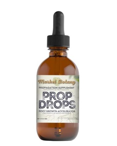 Prop Drops by Market Botany | Propagation Plant Drops to Promote Healthy Root Growth