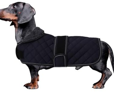 Dachshund Coat Dog Coats for Dachshunds Dachshund Winter Jacket with Padded Fleece Outdoor Dog Clothes with Adjustable Bands - Dark Blue - S