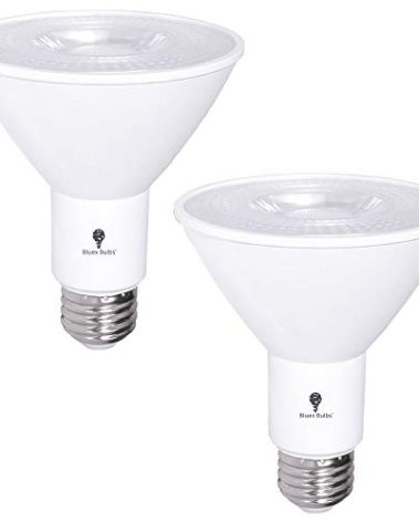 2 Pack PAR30 Outdoor LED Flood Light Bulb 12W 100 Watt Equivalent 900 Lumens Dimmable Waterproof E26 3000K Warm White LED Flood Light Bulbs for Security Spotlight Recessed Bulb