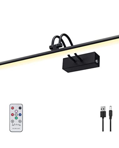 RAIFOOLLY Picture Light,16in Wireless Battery Wall Lighting,Remote Art Lights for Paintings with Timer and Dimmable for Display Photo,Frame,Portrait,Dartboard-Black