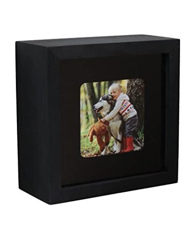 Conceal-a-Cam Home Security Camera Enclosure - Black