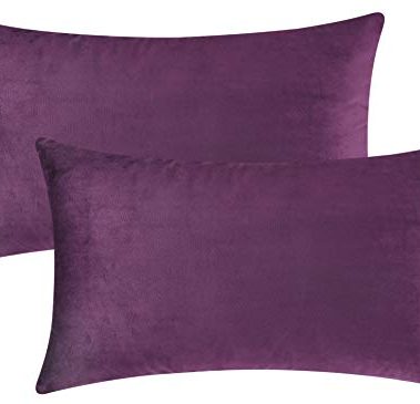 Mixhug Set of 2 Cozy Velvet Rectangle Decorative Throw Pillow Covers for Couch and Bed, Purple, 12 x 20 Inches