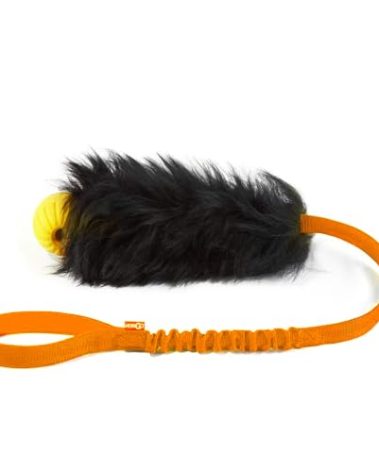 HOWGO Dog Rope Toy,Dog Bungee Chaser Toy 100% Sheepskin,Sheep Smell Tug Toy for All Breeds (Orange, with Rubber Ball)