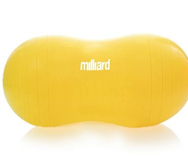 Milliard Peanut Ball Physio Roll for Exercise, Therapy, Labor, Birthing and Dog Training…