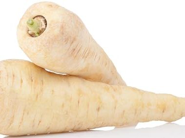 500+ Parsnip Seeds for Planting - All American - Heirloom Non-GMO USA Grown by RDR Seeds