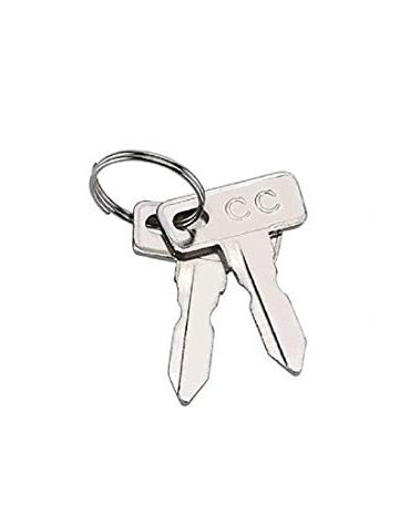 Club Car Replacement Golf Cart Keys (2 Pack)