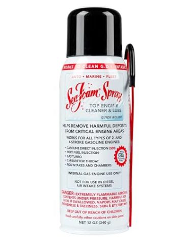 Sea Foam Spray Engine Intake Valve Cleaner, SS14, 14 oz
