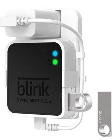 256GB USB Flash Drive for Local Video Storage with Outlet Mount for Blink Sync Module 2,Short Cable Save Space and Easy Move Mount Bracket Holder for Blink Outdoor Indoor Home Security Camera