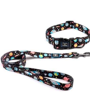 Roses&Poetry Dog Collar and Lead for Extra Small,Adjustable Durable Blue 5ft Puppy Leash Collar for Dog Training Lead（Star-XS）