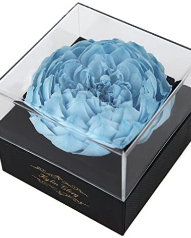 Kylin Glory Fresh Cut Flower Preserved Peony for Women Mom Wife Girlfriend - Flower Gift Real Peony Decor for Mother's Day Valentine's Day Wedding Party Celebration Birthday Anniversary (Sky Blue)
