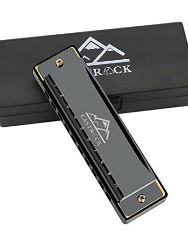EastRock Blues Harmonica Mouth Organ 10 Hole C Key with Case, Diatonic Harmonica for Professional Player, Beginner, Students gifts, Adult, Friends, Gift Black