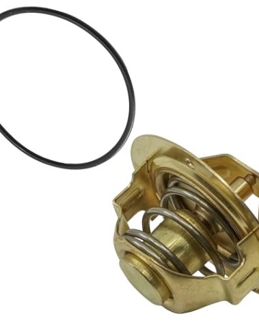 Caltric Thermostat & O Ring Compatible with Honda Vt1100C2 Vt-1100C2 Shadow Ace Sabre 1995-2007