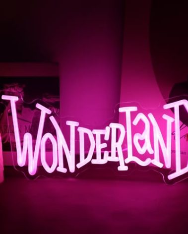 Wonderland Neon Signs Alice In Wonderland Neon Light for Wall Art Decor, Dimmable Pink LED Neon Lights for Bedroom Theme Hotel Bar Decorations Halloween Christmas Kids Gifts 7 * 16 IN