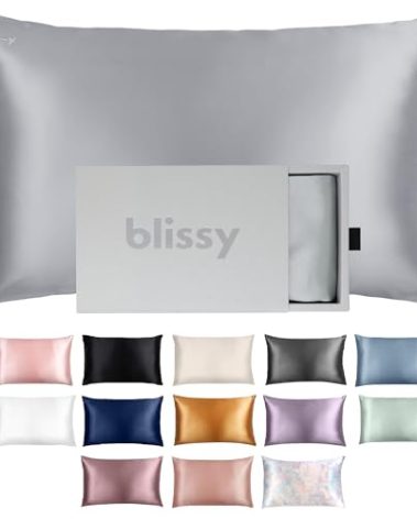 Blissy Silk Pillowcase - 100% Pure Mulberry Silk - 22 Momme 6A High-Grade Fibers - Silk Pillow Cover for Hair & Skin - Regular, Queen & King (Silver, Queen)