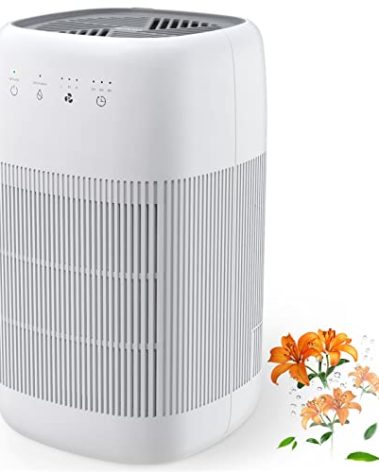 Afloia Air Purifier and Dehumidifier in 1, Air Purifier with Efficient Filter, Small Dehumidifier Combined with Air Cleaner, Remove Pet Odors Dust Smoke for Home, Bedroom, Bathroom
