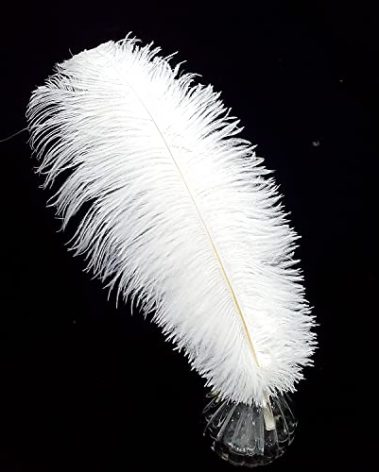 Happy Feather 16-18 inch White Ostrich Feathers Craft for Wedding Party Centerpieces Home Decoration DIY Craft Pack of 10