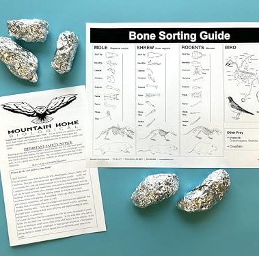 Mountain Home Biological Jumbo Owl Pellets, Pack of 5, with Bone Sorting Sheet, Inc.