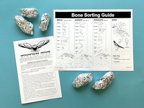 Version 1.0.0 Version 1.0.0