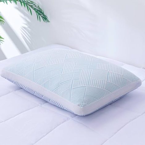 Version 1.0.0