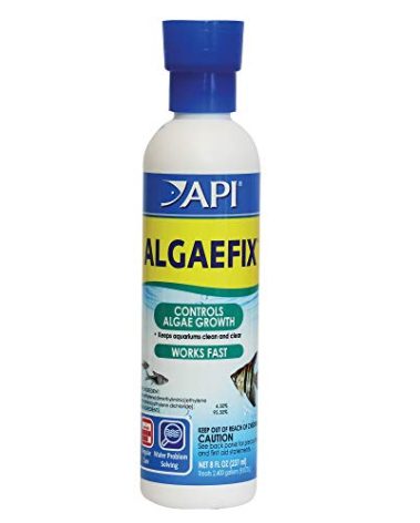 API ALGAEFIX 8-Ounce Bottle