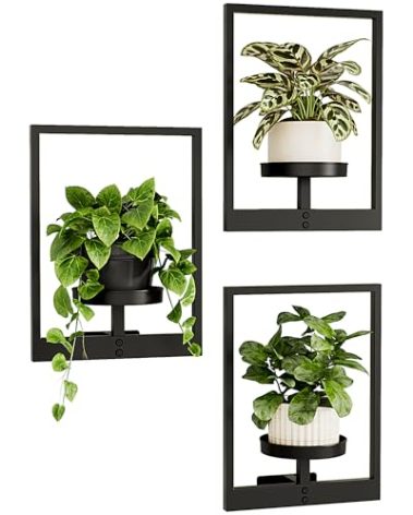 Bamworld Wall Planters for Indoor Plants Hanging Planter for Indoor Plants Plant Stand Indoor Wall Decor Hanger Window Plant Shelves 3 Pack for Living Room Outdoor Entryway