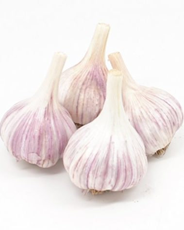 Gourmet Chesnok Red Garlic Bulbs Hard Neck - 4 Bulbs - Garlic To Plant For Fall Planting - Non-GMO Organic Grown