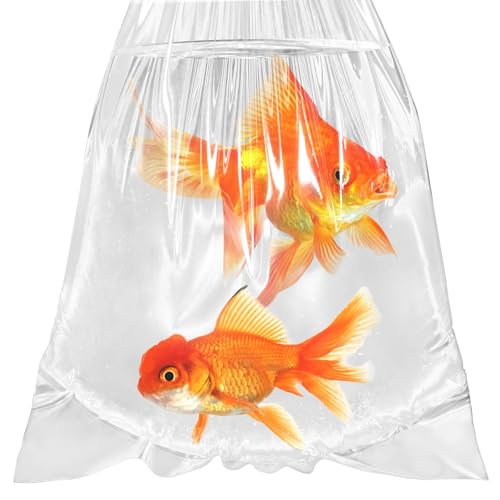 Version 1.0.0 Version 1.0.0