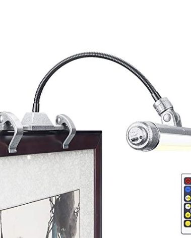 LUXSWAY Wireless Picture Frame Led Lighting,Rechargeable Art Display Lighting Clip on Pictures,Over Painting Lights,Artwork Lamp with Flexible Neck,28 LEDs 3 Lighting Modes 200 LM-Silver