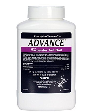 BASF Advance Carpenter Ant Bait Granules, Ready to Use Indoor or Outdoor, Attracts, Kills and Controls Ants, 8 oz