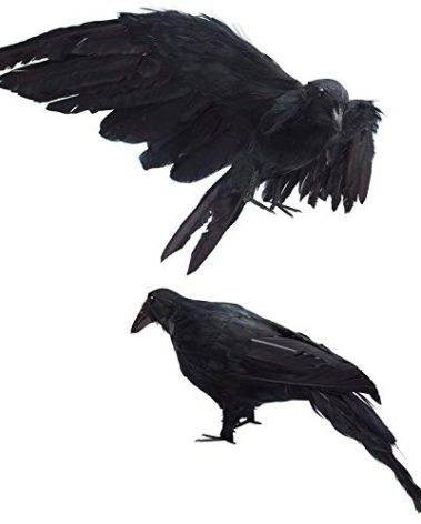 2-Pack Realistic Crows Lifesize Extra Large Handmade Black Feathered Crow for Halloween Decorations Birds, L (13 inch+12 inch)
