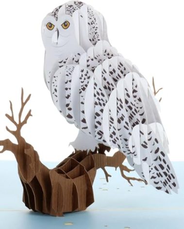 iGifts And Cards Magical Owl 3D Pop up Greeting Card - Animal, Zoo, Cute Bird, Nocturnal, Fun, Graduation, Happy Birthday, Spouse's Day, Just Because, Love, Friendship, Thank You, Special Occasion