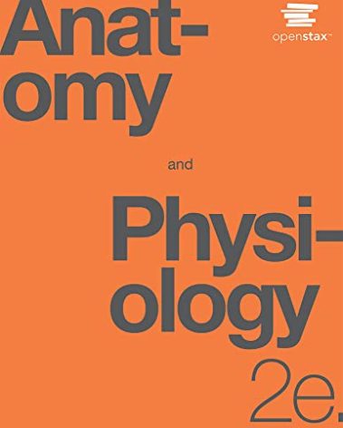 Anatomy and Physiology 2e by OpenStax (Official Print Version, paperback version, B&W), pack of 1 and 2