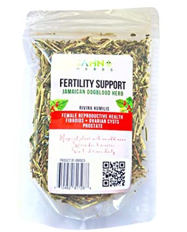 Jamaican Dog Blood Herb (Fertility Bush) Rivina Humilis