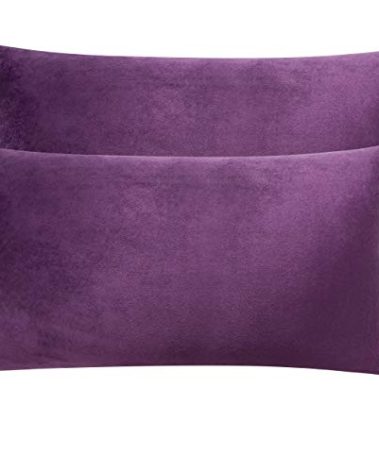 NTBAY 2 Pack Zippered Velvet King Pillowcases, Super Soft and Cozy Luxury Fuzzy Flannel Pillow Cases with Zipper, 20x36 Inches, Purple