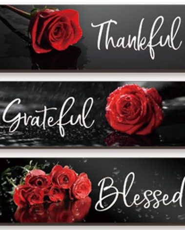 3 Pcs Red Bathroom Decor Rose Wall Art Inspirational Flower Wooden Signs Red and Black Bathroom Office Wall Decor with Thankful Grateful Blessed Quotes for Women Bedroom Kitchen(12x4 Inch)