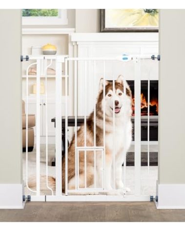 Carlson Extra Tall Walk Through Pet Gate with Small Pet Door, Includes 4-Inch Extension Kit, 4 Pack Pressure Mount Kit and 4 Pack Wall Mount Kit