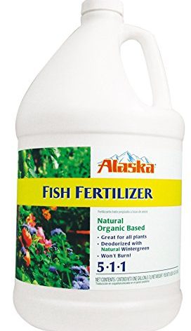 Alaska Fish Emulsion Fertilizer 5-1-1 Concentrate 1 Gallon (Packaging may vary)