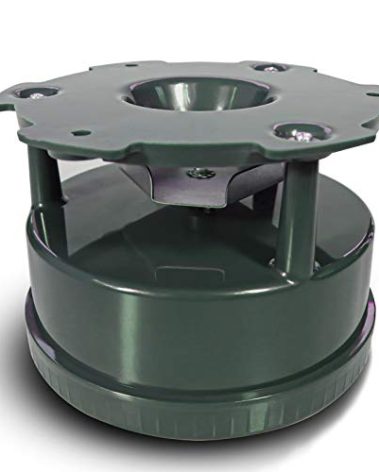 Highwild Deer Feeder Kit - Digital Timer - Metal Spin Plate - Easy Setup - All-in-ONE