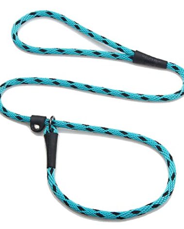 Mendota Pet Slip Leash - Dog Lead and Collar Combo - Made in The USA - Black Ice Turquoise, 3/8 in x 6 ft - for Small/Medium Breeds